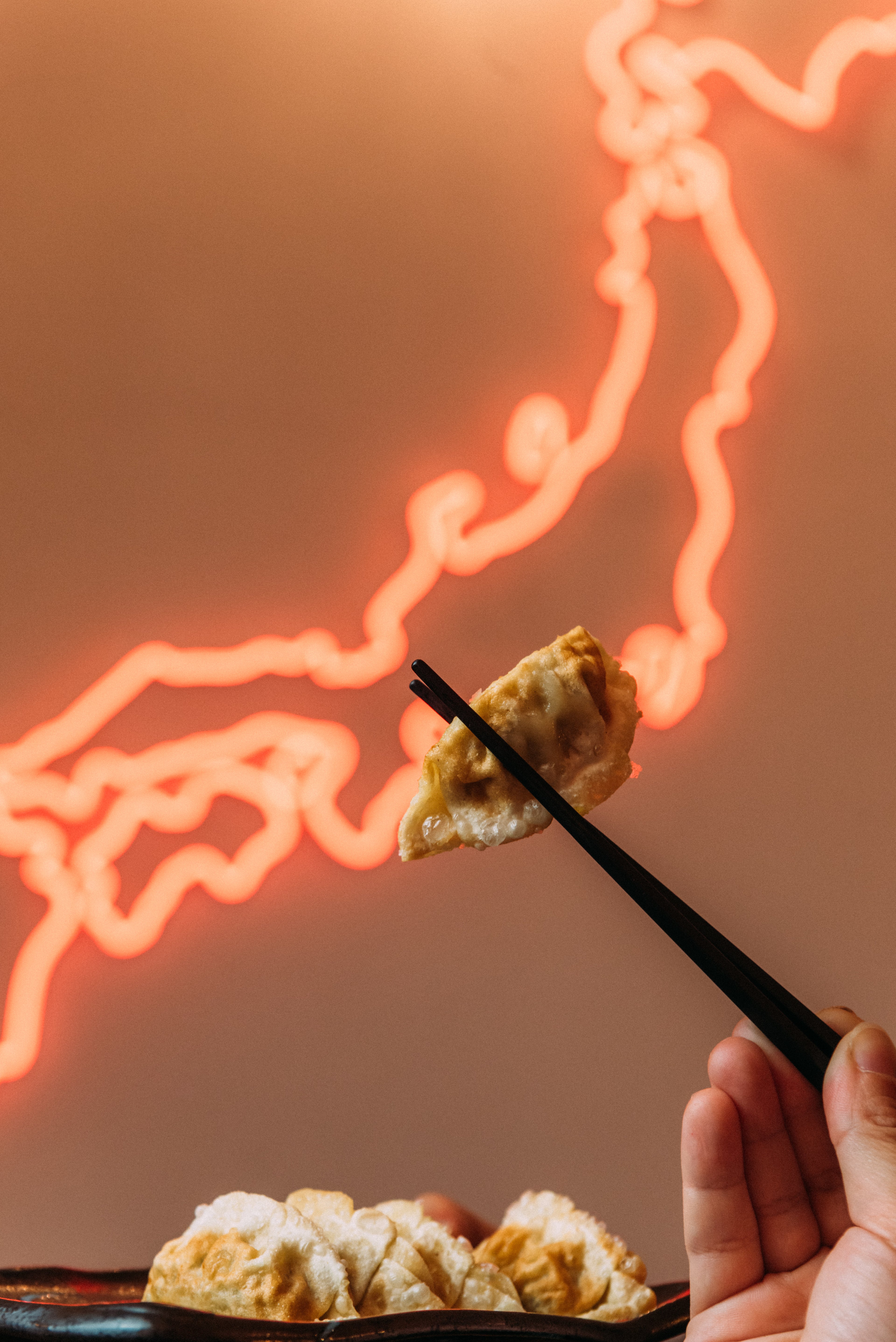 Food Experience di Gyoza a Roma  - Domenica 26 Luglio